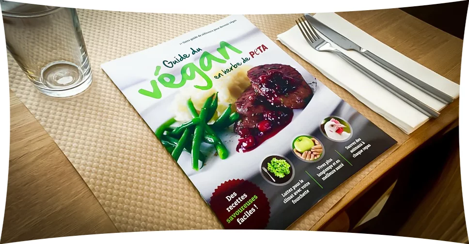 Guide Vegan