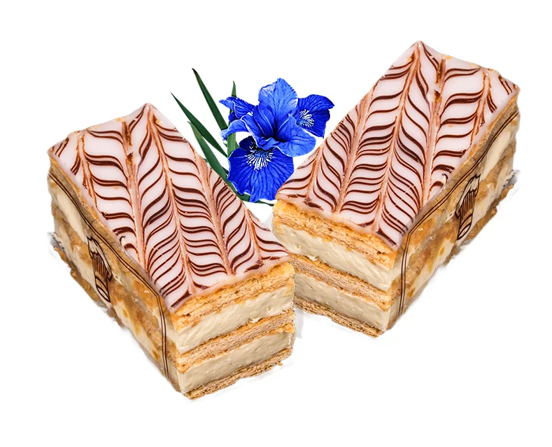 Mille feuille gentiane