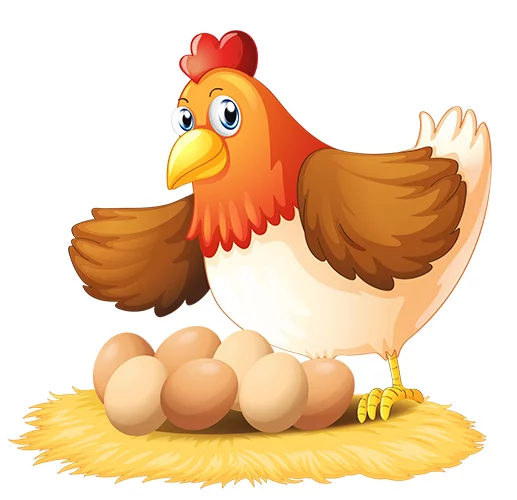 Poule fermière au bouillon et fidès grillés