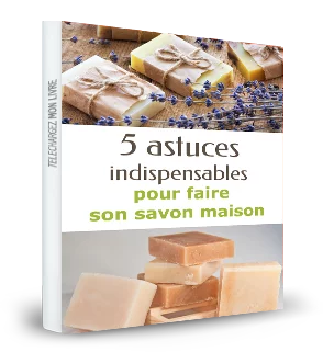 Livret d’astuces gratuit